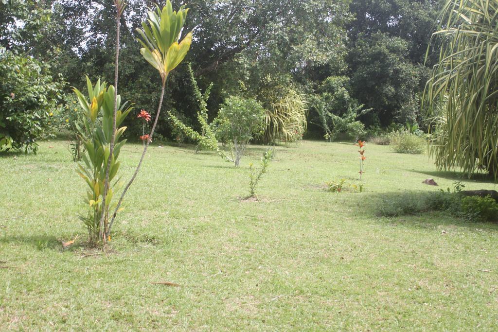 Hotel Framotel Kribi Εξωτερικό φωτογραφία